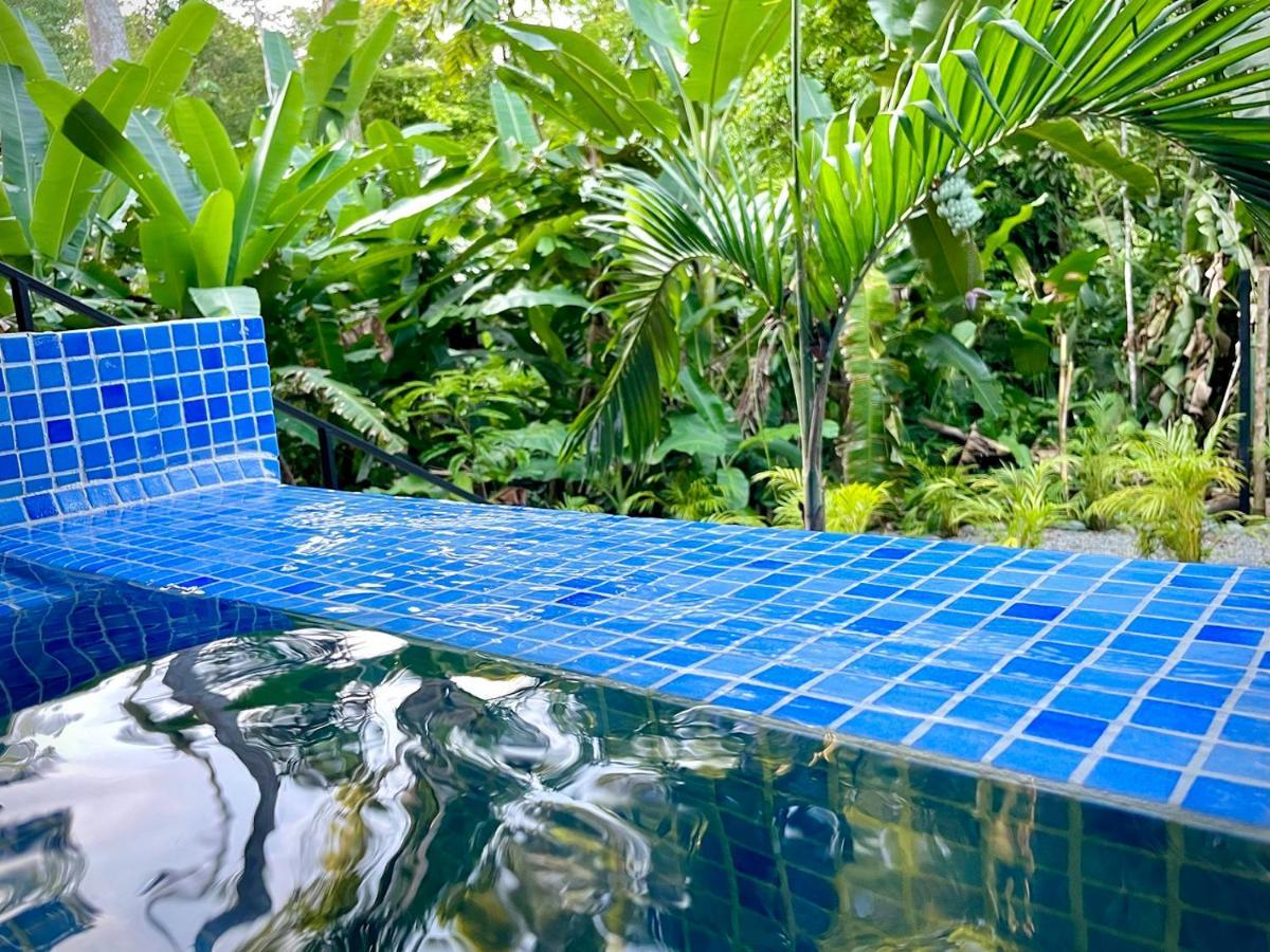 Villa Joeyshe- New Luxury Villa With Pool & Ac Puerto Viejo de Talamanca Luaran gambar